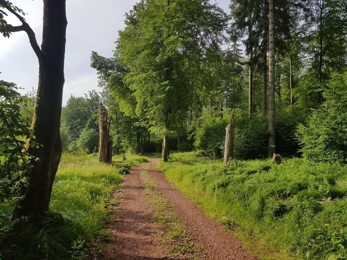 Ferienwohnungen.Ruhla Exterior foto