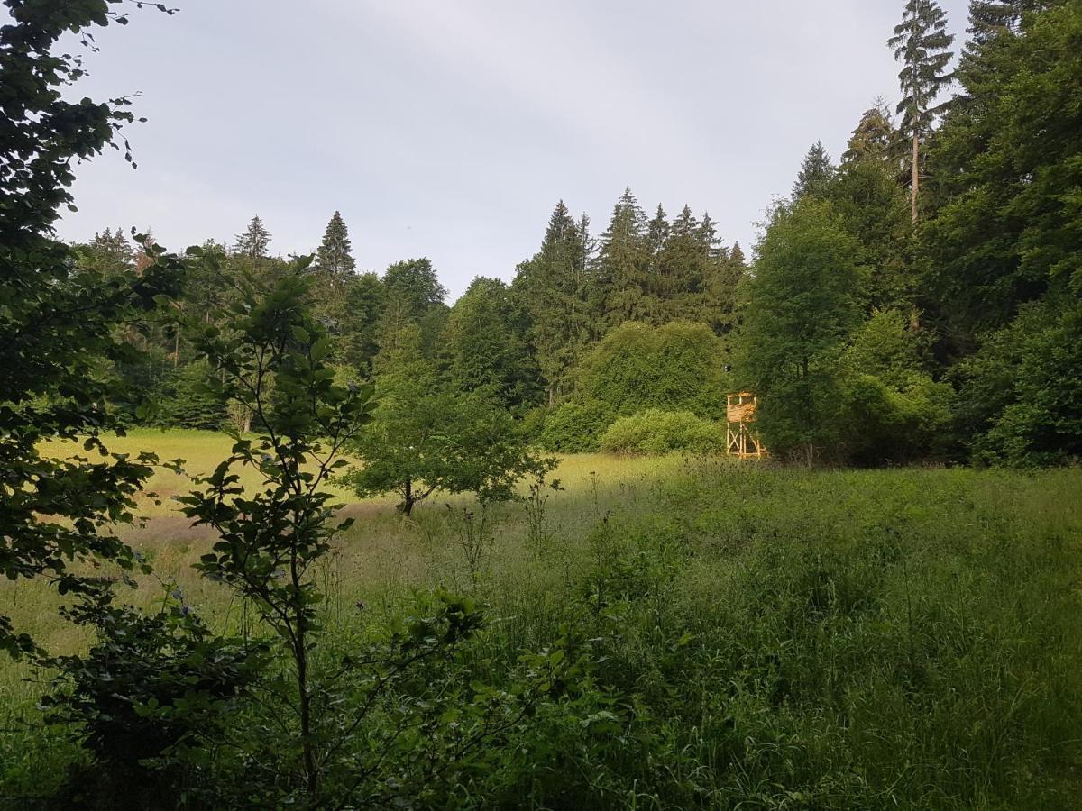 Ferienwohnungen.Ruhla Exterior foto
