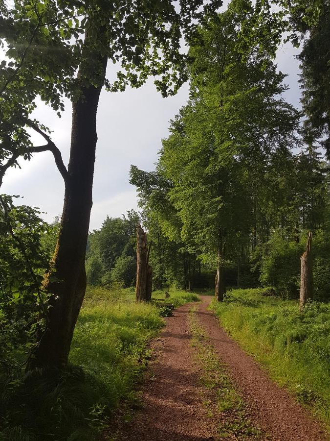Ferienwohnungen.Ruhla Exterior foto