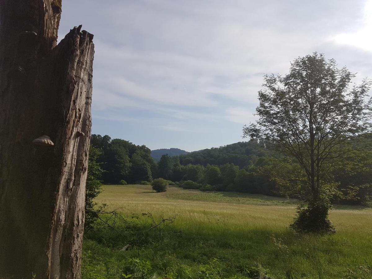 Ferienwohnungen.Ruhla Exterior foto